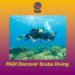 PADI Discover Scuba Diving