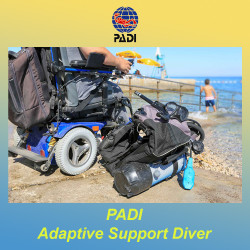 PADI Disabled Diver Support Specialization Course