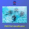 PADI Fish Identification