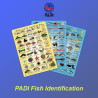 PADI Fish Identification