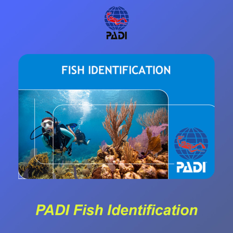 PADI Fish Identification