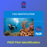 PADI Fish Identification