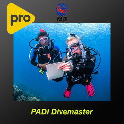 Corso Divemaster PADI