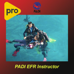 PADI First Aid Instructor Course Adults and Children