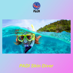 PADI SKin Diver - in Italy and Malta