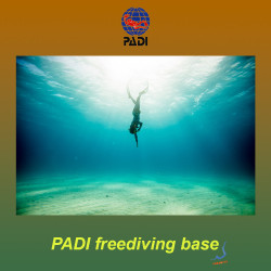 PADI Freediving Basic Course