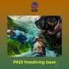 PADI Freediving Basic Course