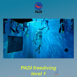 PADI Freediving First Level Course