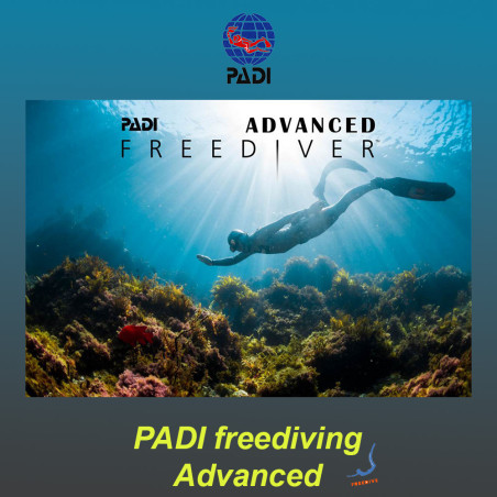 PADI Advanced Freediving Course