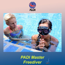 PADI Master Freediver Course