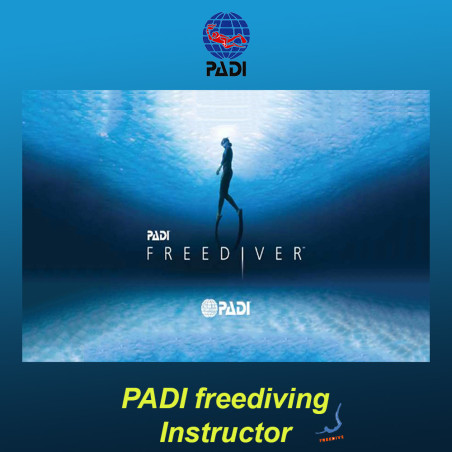 PADI Freediver Instructor Courses