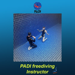 PADI Freediver Instructor Courses