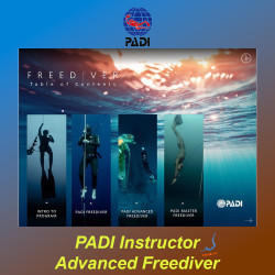 PADI Freediving Advanced Instructor Courses