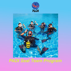 PADI Seal Team we teach children from 8 years old to love the sea