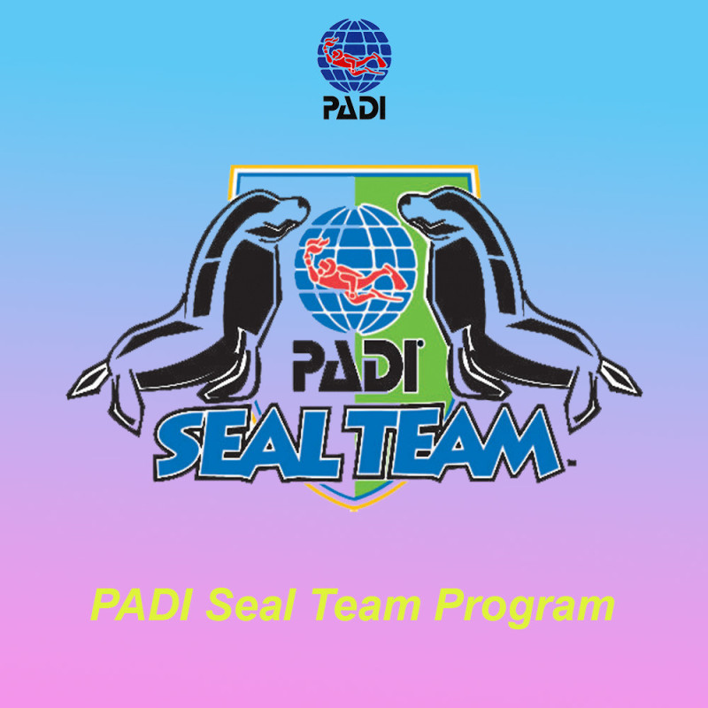 PADI Seal Team we teach children from 8 years old to love the sea