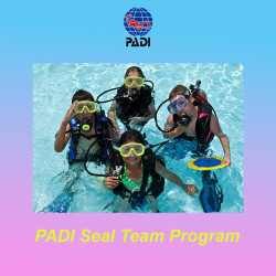 PADI Seal Team we teach children from 8 years old to love the sea