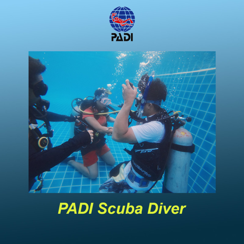 PADI Scuba Diver courses in Malta and Italy