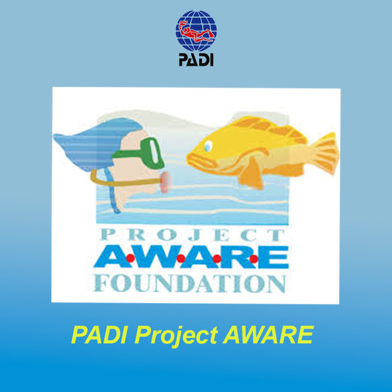 PADI Project AWARE Specialist – Protect aquatic environments