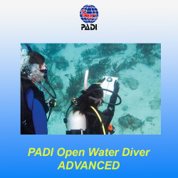 Corso PADI Avanzato Open Water Diver - Malta e Italia