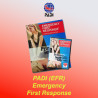 PADI First Aid Course for Adults and Children - in Italy and Malta