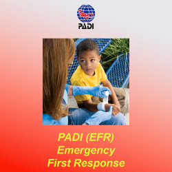 PADI First Aid Course for Adults and Children - in Italy and Malta