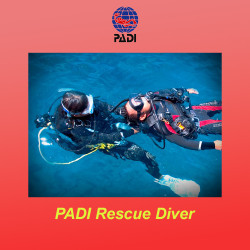 Diving rescue course - PADI Rescue Diver in Italy and Malta