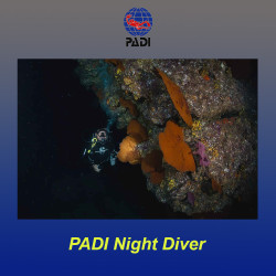 PADI specialty diving course Night diving - Italy and Malta