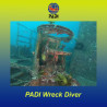 PADI Wreck Diving Course in Italy and Malta