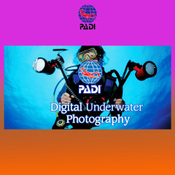 PADI Corso di video e fotografia subacquea in Italia e Malta