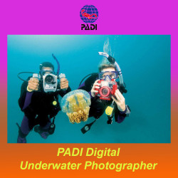 PADI Underwater video and photography course in Italy and Malta