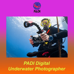 PADI Underwater video and photography course in Italy and Malta