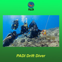 PADI Corso di specialità per immersione in corrente - Italia e Malta